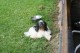Thumbs/tn_Bild 006.jpg